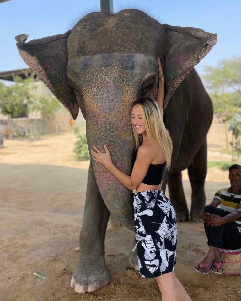 Elephant ride in Jaipur, Elephant safari in Jaipur