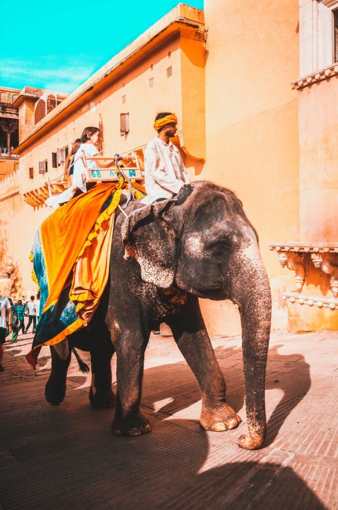 Amber Fort