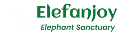 logo-elefanjoy